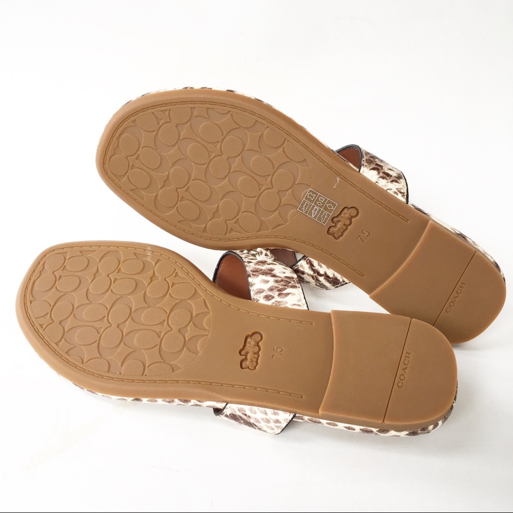 Coach ‘Jaclyn’ Sandal | Python Print | FG3816 Size 7.5 New - Picture 11 of 12